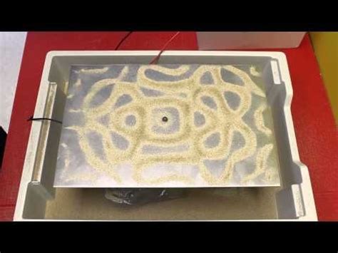 When resonating, a vibrating plate is divided into regions that oscillate in opposite directions, bounded by lines where no vibration occurs. Pin by AJ MB on Physical Science | Physical science, Plates, Physics