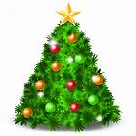 Tree Christmas Icon Icons Graphics