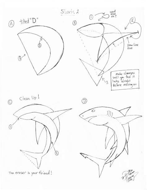Draw A Shark 2 Part One By Diana Huang On Deviantart Shark Drawing
