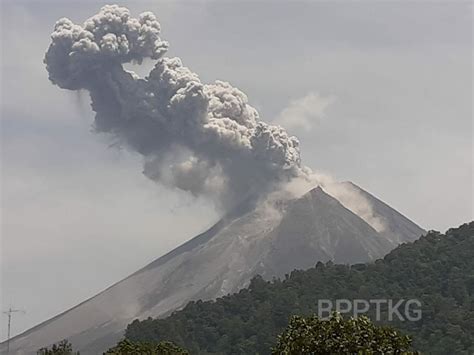 breaking news gunung merapi kembali erupsi setinggi 1000 meter