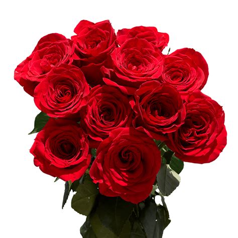 Best Dozen Red Roses Globalrose