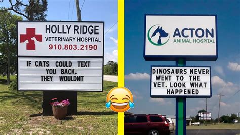 Funny And Genius Vet Signs That Will Make You Laugh Youtube