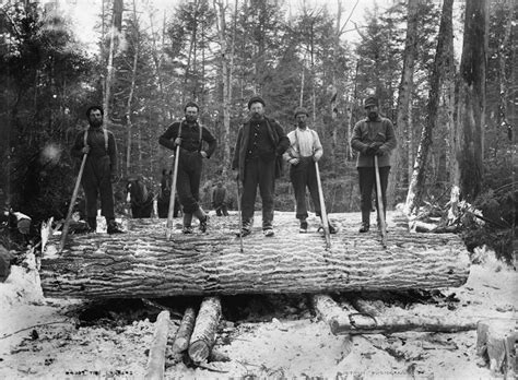 Lumbering Michigan