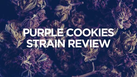 Purple Cookies Strain Review Ahuevo
