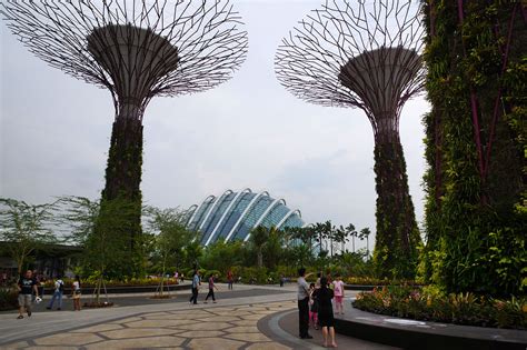 An iconic singapore destination, gardens by the bay is undoubtedly at the top of every visitor's itinerary to the city. File:Supertree Grove, Gardens by the Bay, Singapore ...