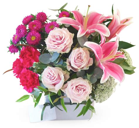 Bethania 4205 Qld Florist And Flower Delivery The Lush Lily