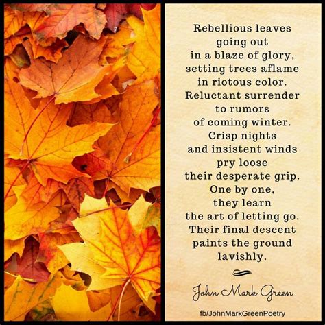 Fallen Splendor Autumn Poem By John Mark Green Fall Leaves Poetry