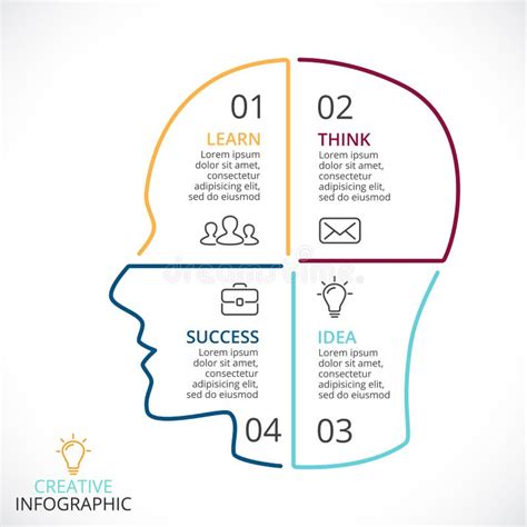 Vector Brain Linear Infographic Template For Human Head Diagram