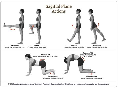 Yoga Positions Joint Movements Worksheet
