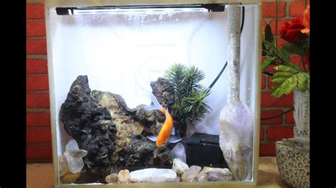 We did not find results for: membuat aquarium mini dari jerigen bekas - YouTube