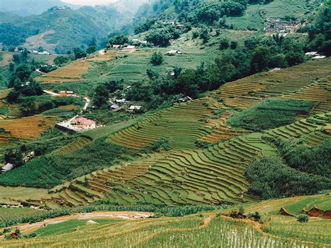 The First-Timer's Sapa Trekking Guide (2020) | Will Fly for Food