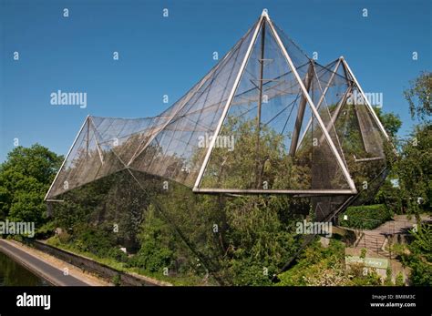 London Zoo Den Snowdon Aviary Stockfotografie Alamy