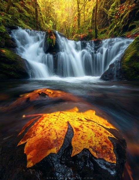 A Leaf Is Sitting On Top Of A Rock In The Middle Of A River With Water