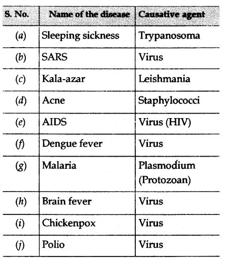 Associate The Following Diseases Infections With Their Causative Agents A Sleeping Sickness