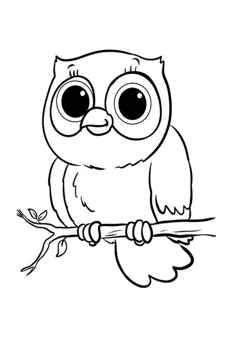 Owl Coloring Pages Free Printable Printable World Holiday
