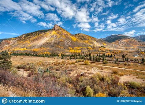 Fall Colors Over 8000 Feet In Elevation Near Silverton Colorado Stock