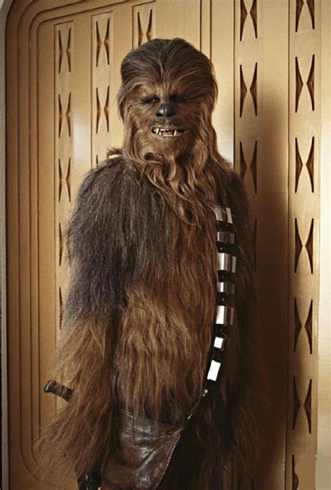 13 Best Chewbacca Images On Pinterest Star Wars Star Wars Stuff And