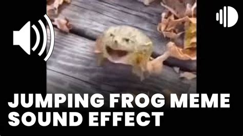Jumping Frog Meme Sound Effect Mp3 Download
