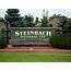 Steinbach Population To Top 100000 In Fifty Years  Steinbachonlinecom