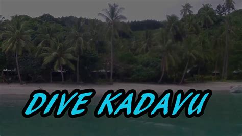 Kadavu Accommodations And Dining Fiji Guide The Most Trusted Source