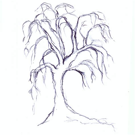 Spooky Tree Drawing At Explore Collection Of