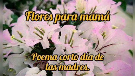 Flores Para Mamá 🌹💐 Poema Corto Y Reflexivo Para El Día De Las Madres