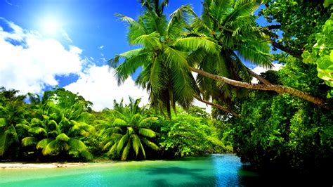 Tropical 4k Wallpapers For Your Desktop Or Mobile Screen Free And Easy