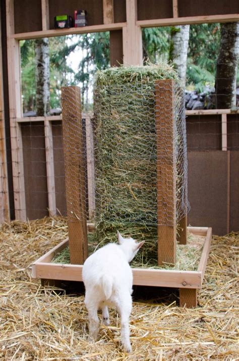 Hay and food bin feeder, sungrow hay feeder rack, feeding stations and more. Distributeur de foin à balles carrées pour chèvres (With images) | Goat farming, Goats, Goat hay ...