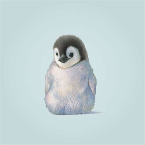 Illustrated Penguin Print By Littlebluezebra On Etsy £2500 Penguin