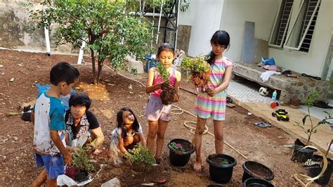Berkebun merupakan salah satu cara untuk mendekatkan diri dengan alam. Belajar Berkebun di Rumah untuk Anak-anak - Travellumy