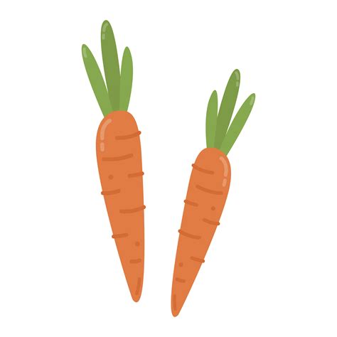 Healthy Orange Carrots Graphic Illustration Download Free Vectors