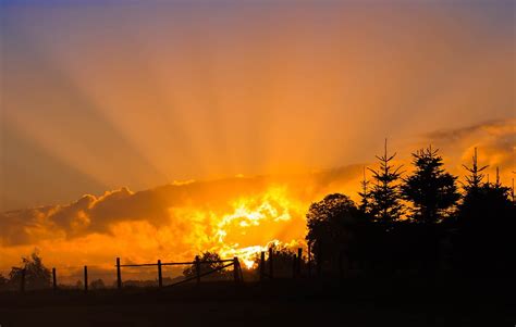 Fence Sunbeam Sun Sky Rays Forest Sunrise Skies 12 Inch By 18 Inch
