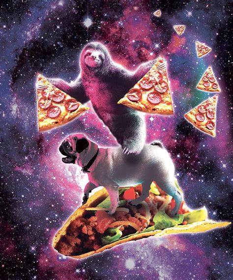 Space Sloth With Pizza On Pug Riding Taco Digital Art By Random Galaxy