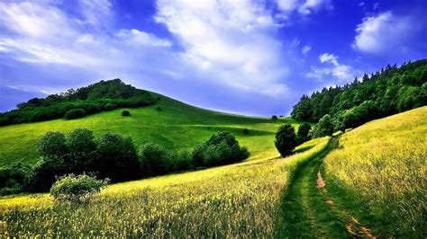 Landscape Field Nature Summer Trees Path Wallpapers