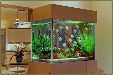 Turn your tank into a conversation piece with the right decorations. Unique Aquarium Decorations | Home Design Ideas (With images) | Aquarium design, Cheap aquariums