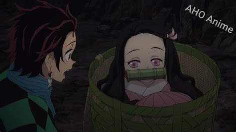 Nezuko Chan Being Super Cute For 4 Minute Straight Demon Slayer