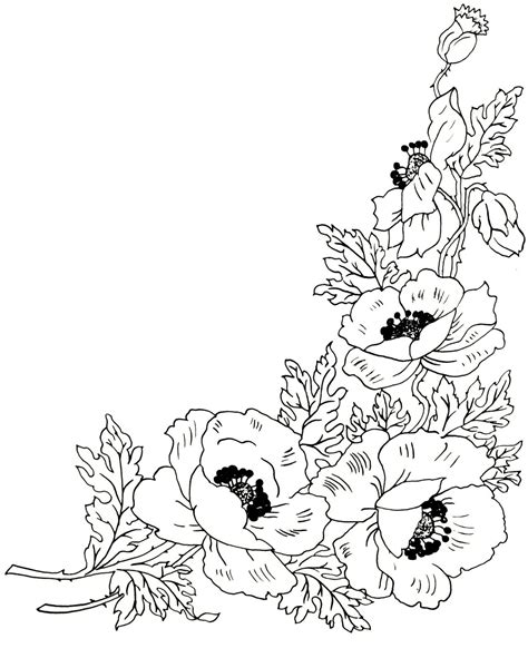 Flower Coloring Pages Flower Drawing Coloring Pages