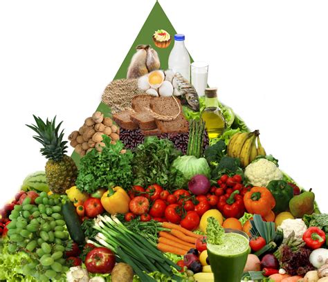 Healthy Food Pyramid What Is Wrong With What The Official Healthy Diet