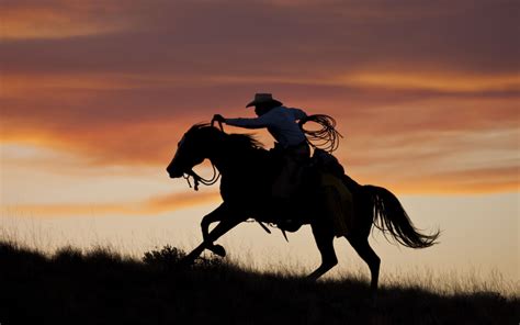 Fast Riding Cowboy Silhouetted At Sunset Shell Wy Horse Silhouette