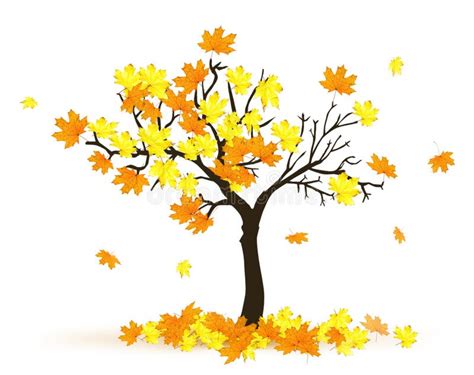 Autumn Maple Tree And Fallen Leaves Vintage Illustration Stock