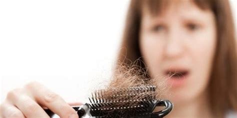 Alpukat mengandung protein yang bermanfaat untuk mengatasi rambut rontok secara alami. 7 Cara Merawat Rambut Rontok dengan Bahan Alami, Ampuh dan ...