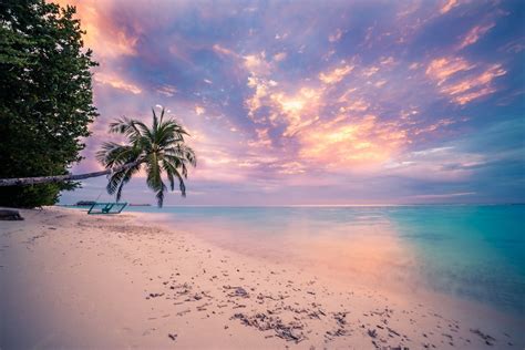 Tropical Beach Sunset Wallpaper And Background Image 1600x1067 Id