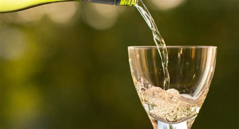 The 5 Best Dry White Wine Brands Drinkstack