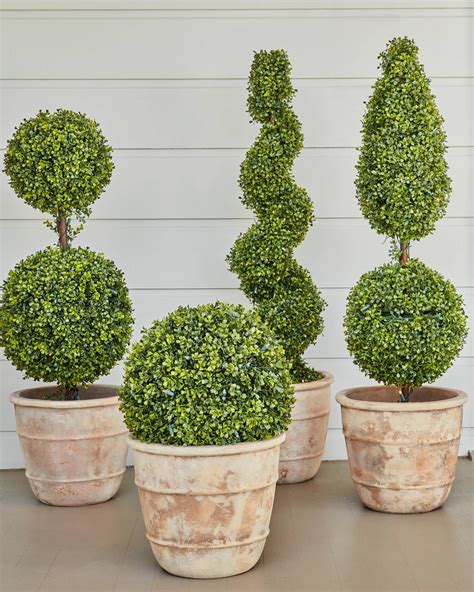 Battery Operated Boxwood Topiary In 2020 Boxwood Topiary
