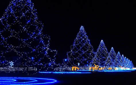 Christmas Lights Backgrounds Wallpapers Backgrounds Images Art Photos