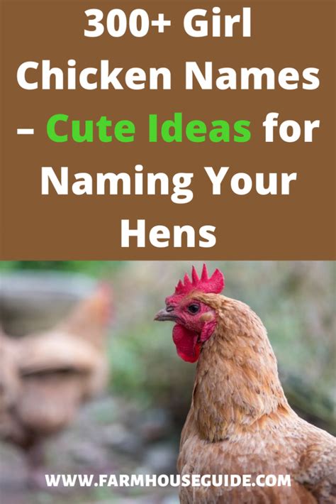 300 Girl Chicken Names Cute Ideas For Naming Your Hens Farmhouse