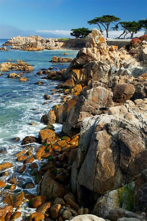 Monterey Bay National Marine Sanctuary Foto Nature All Nature Dream