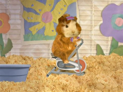 Ask The Wonder Pets