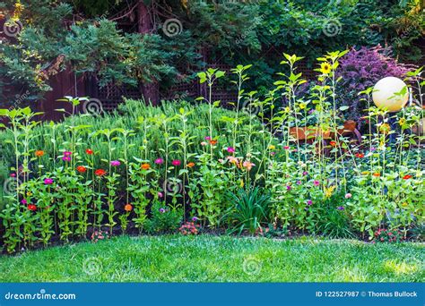 High Stem Flowers In Peaceful Garden Stock Image Image Of Bushes