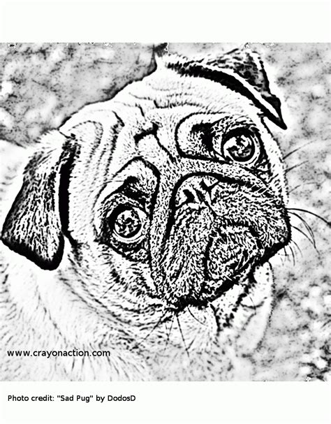 Printable Of Pugs Coloring Pages For Kids And For Adults Dog Coloring